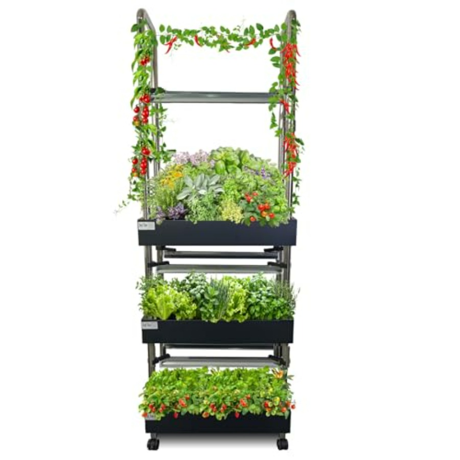 Smart Garden Light - System hydroponiczny do uprawy roślin w