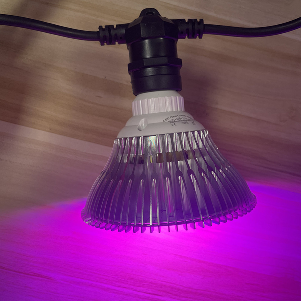 10M Kabel LED, komercyjna jako – Smart Garden Light recenzja i cena