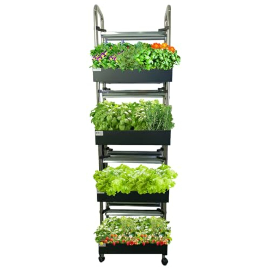 System hydroponiczny do uprawy – Smart Garden Light recenzja i cena